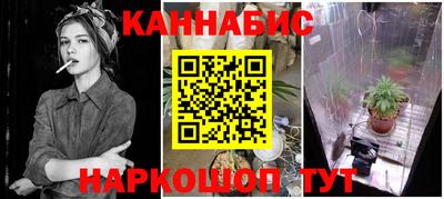 шишки Волжск