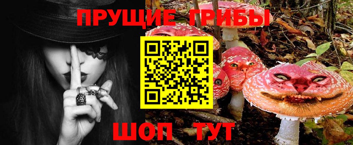 Галлюциногенные грибы Cubensis  Галлюциногенные грибы MAGIC MUSHROOMS  Партизанск 