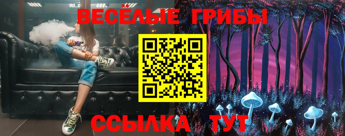 Партизанск  Галлюциногенные грибы прущие грибы  Вход с VPN 