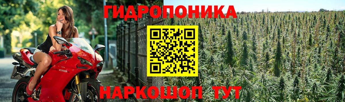 Канабис Bruce Banner  Шишки марихуана гибрид  Вход с VPN  Партизанск 